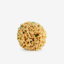 Doğal Deniz Süngerli Orkide Sabunu
